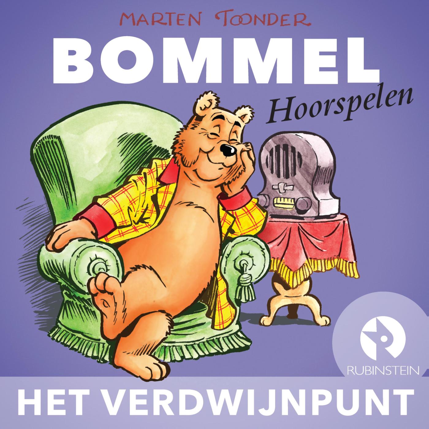 Omslag van Het verdwijnpunt