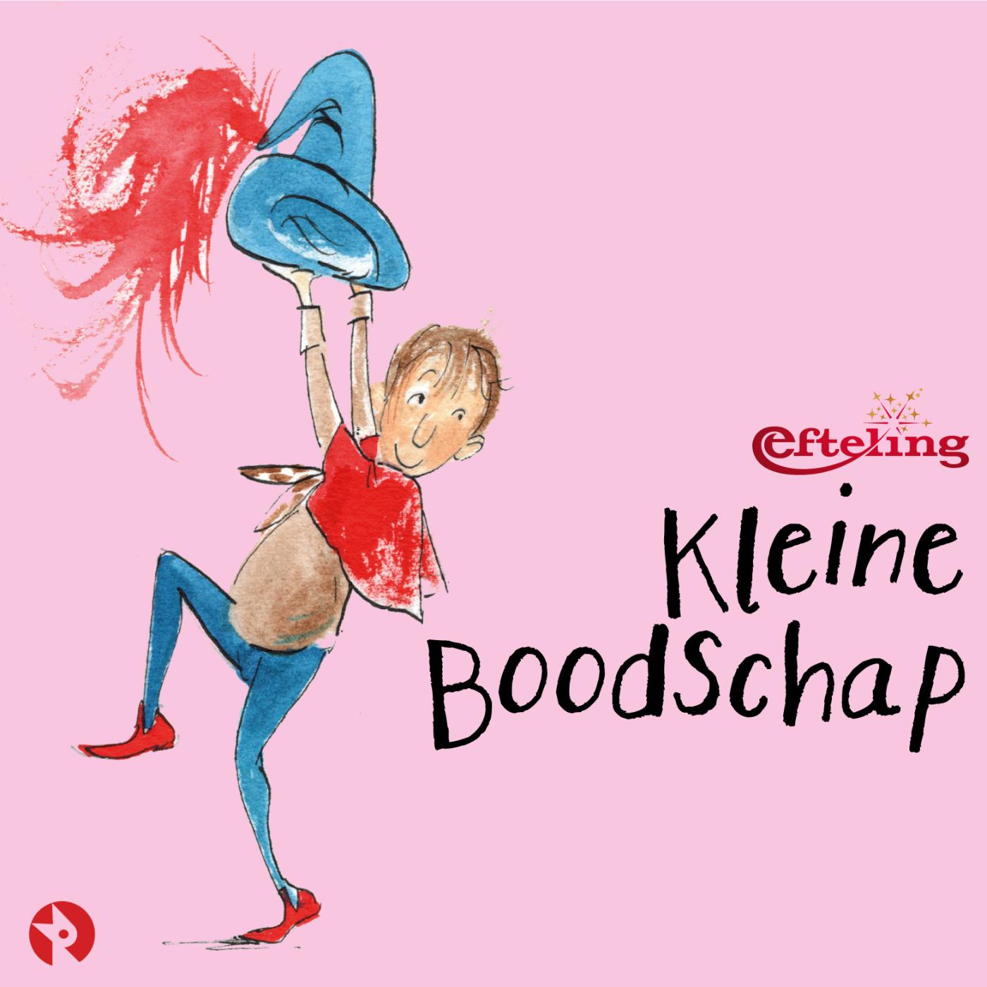 Omslag van Kleine Boodschap