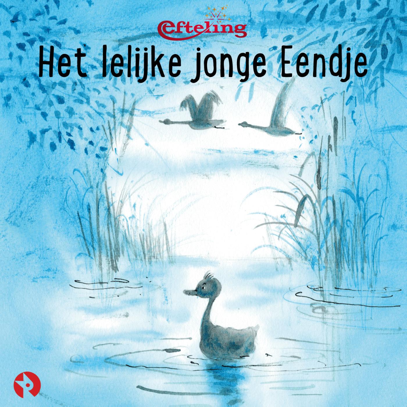 Omslag van Het lelijke jonge Eendje