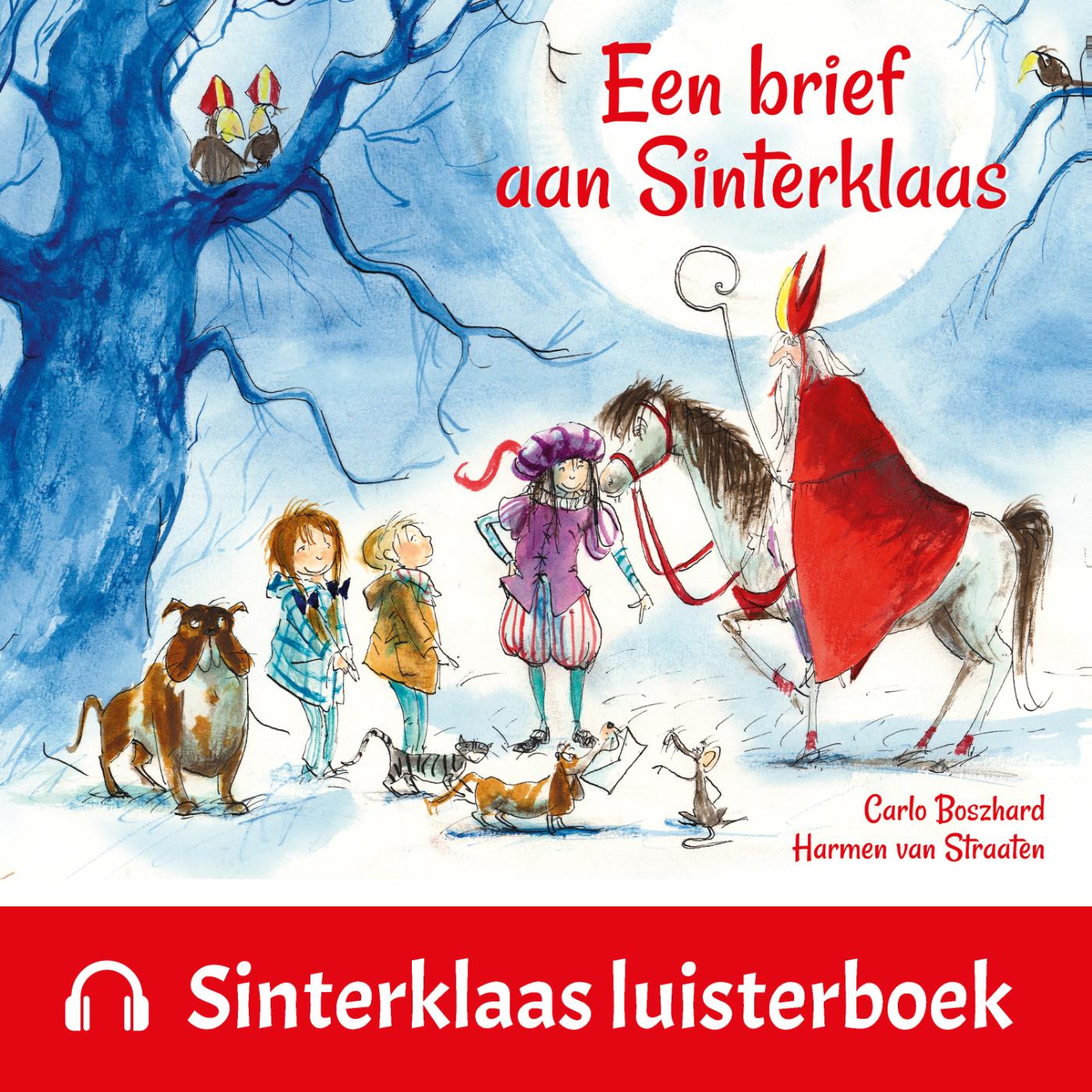 Omslag van Een brief aan Sinterklaas