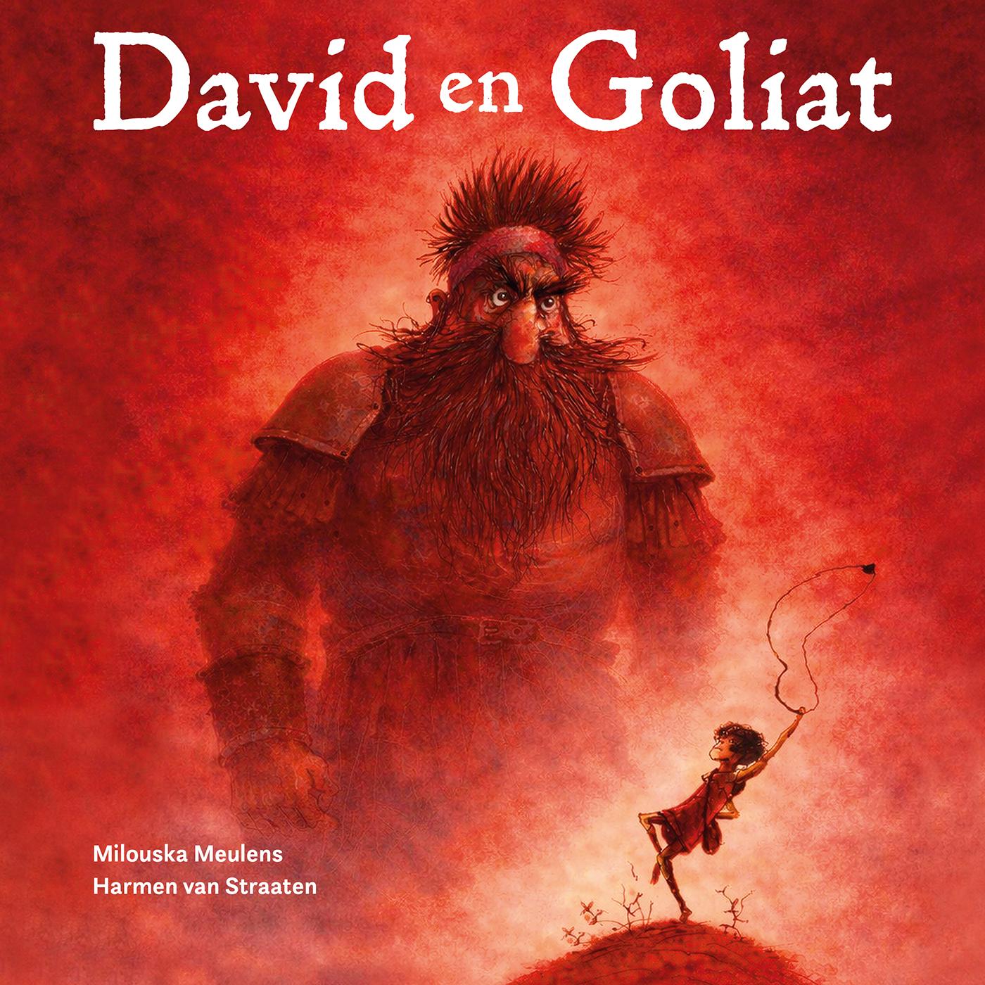 Omslag van David en Goliat
