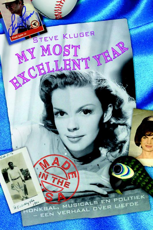 Omslag van My most excellent year