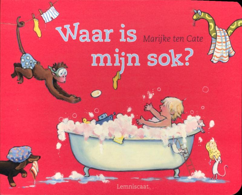 Omslag van Waar is mijn sok