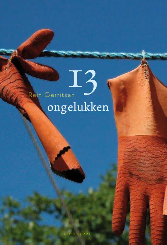 Omslag van 13 ongelukken