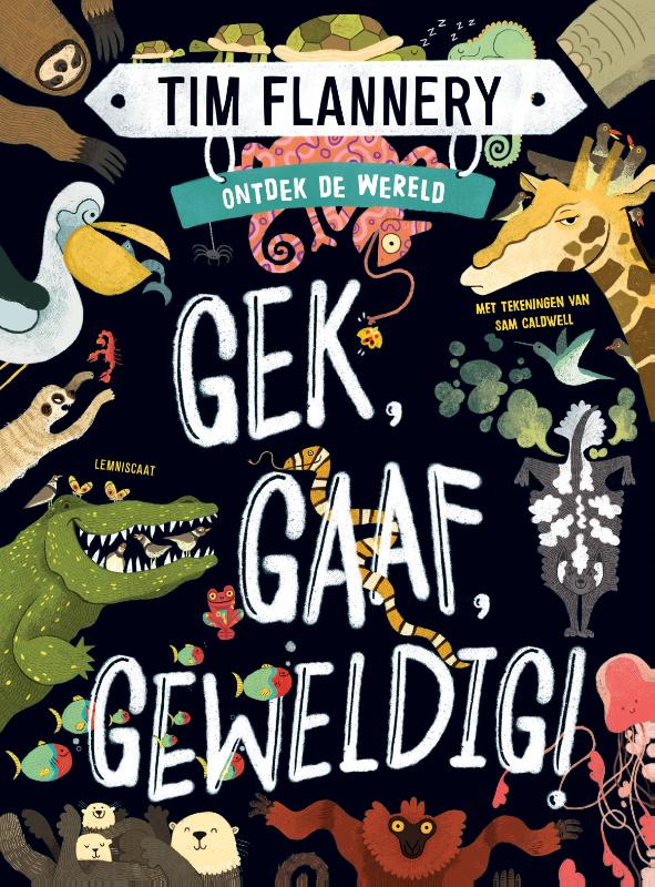 Omslag van Gek, Gaaf, Geweldig!