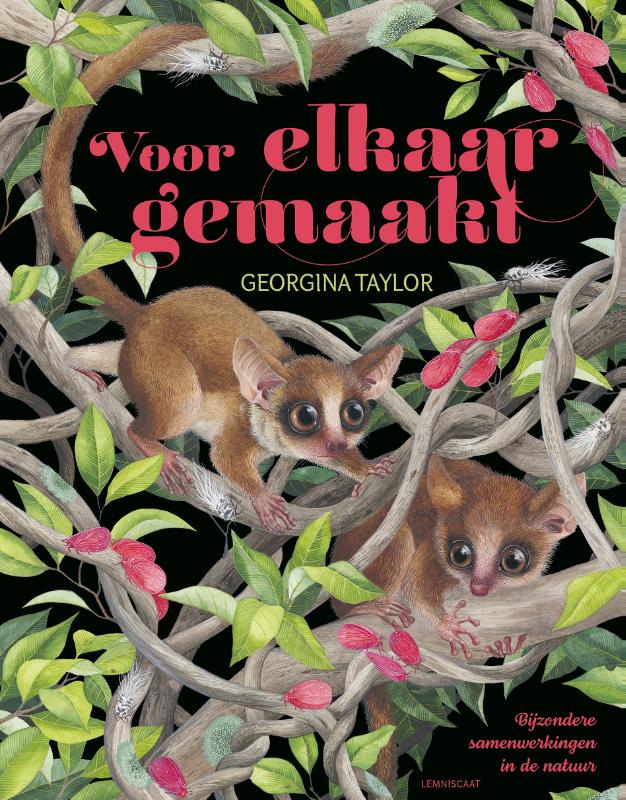Omslag van Voor elkaar gemaakt