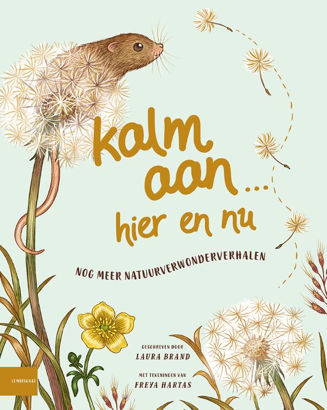 Omslag van Kalm aan… Hier en nu