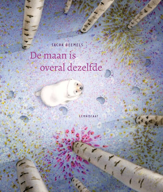 Omslag van De maan is overal dezelfde