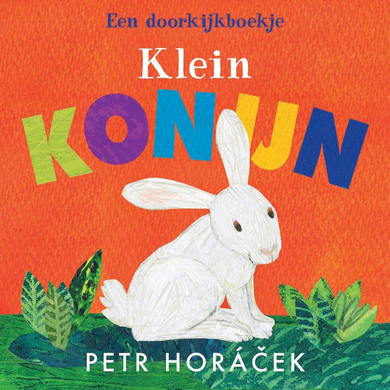 Omslag van Klein konijn