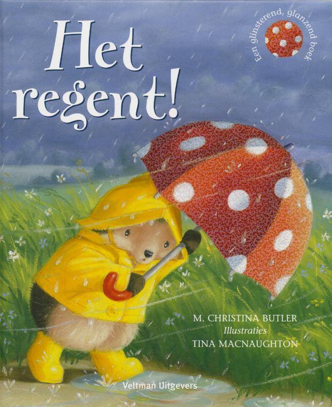 Omslag van Het regent!