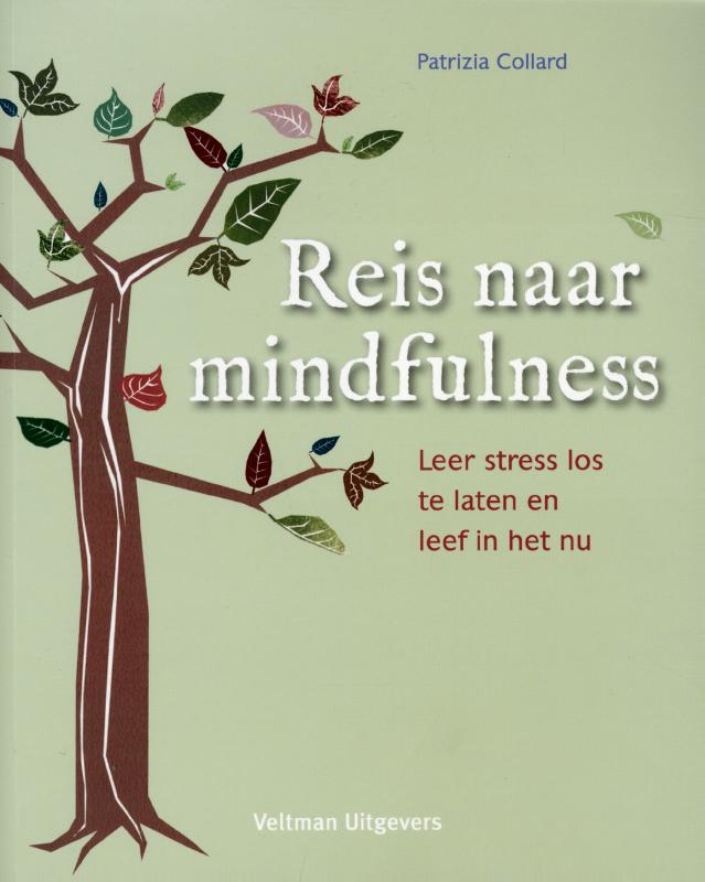 Omslag van Reis naar mindfulness