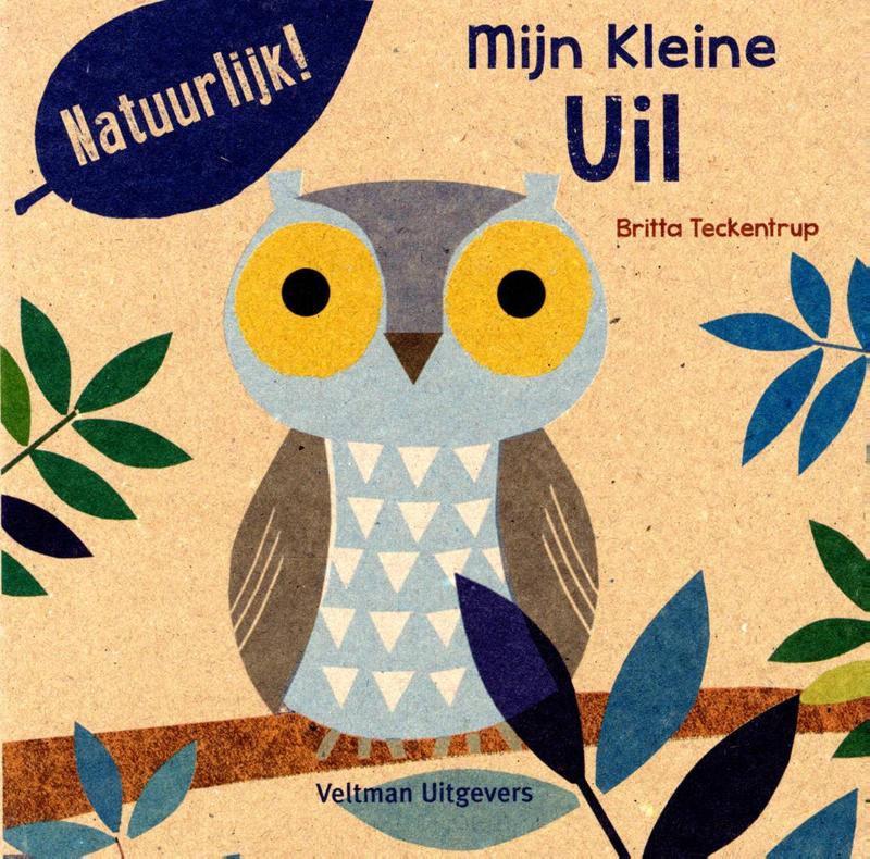 Omslag van Mijn kleine uil