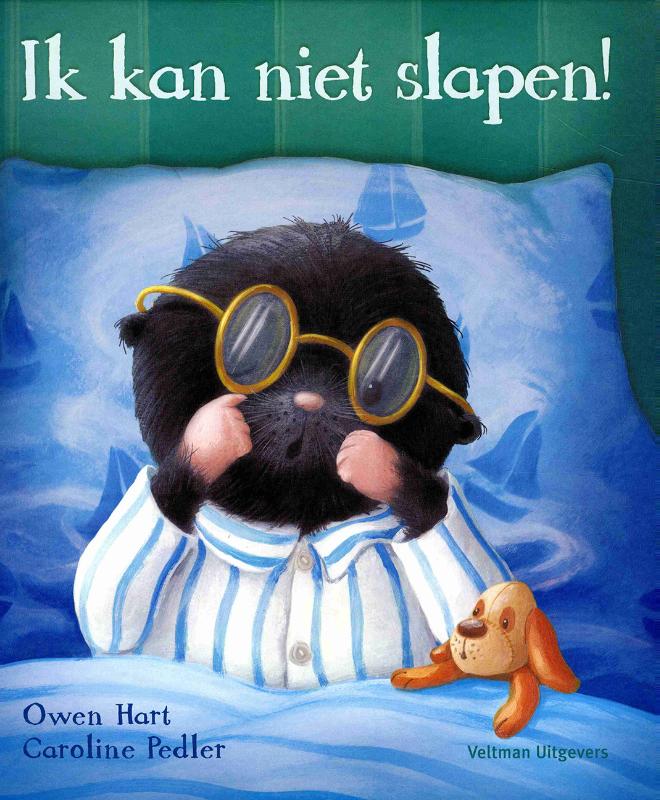 Omslag van Ik kan niet slapen!