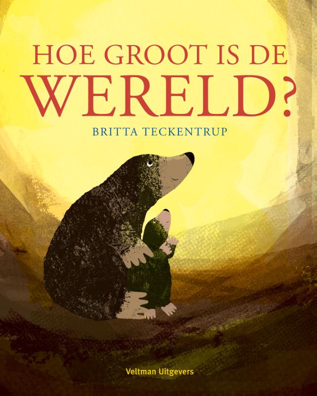 Omslag van Hoe groot is de wereld?
