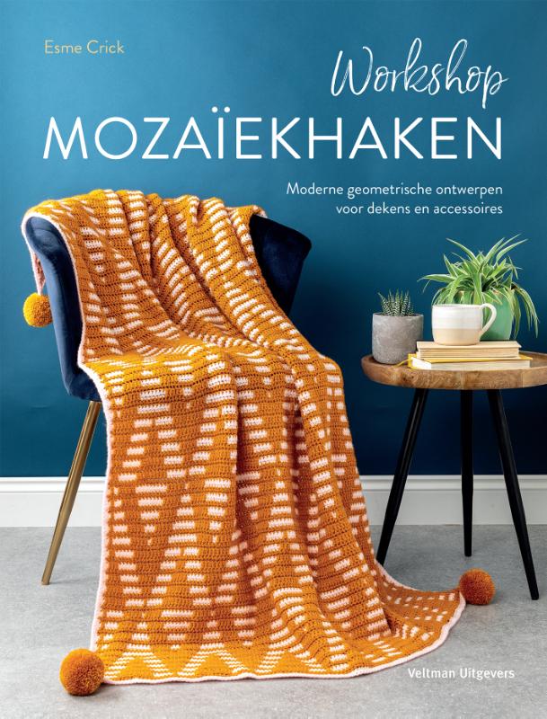 Omslag van Workshop mozaïekhaken