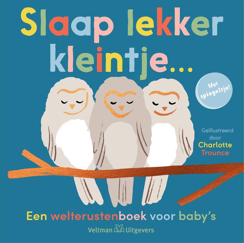Omslag van Slaap lekker kleintje...