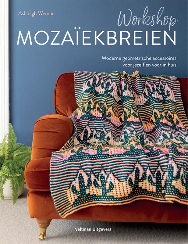 Omslag van Workshop mozaïekbreien