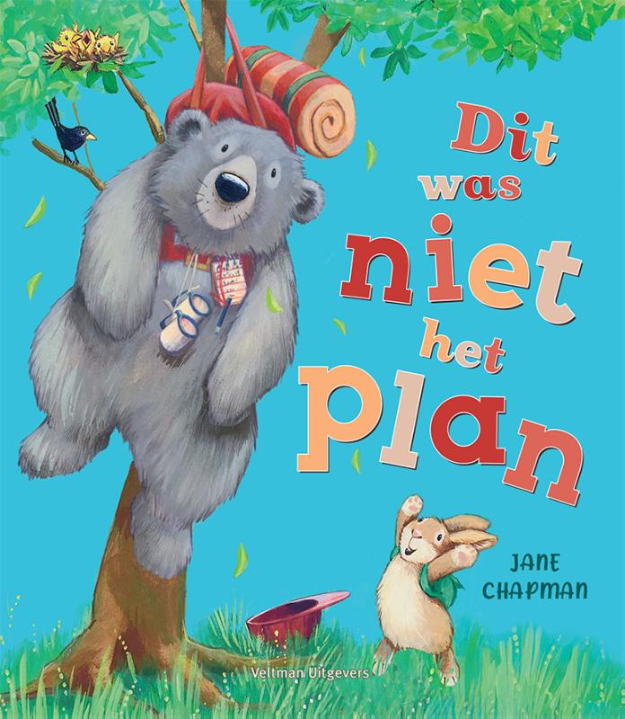 Omslag van Dit was niet het plan