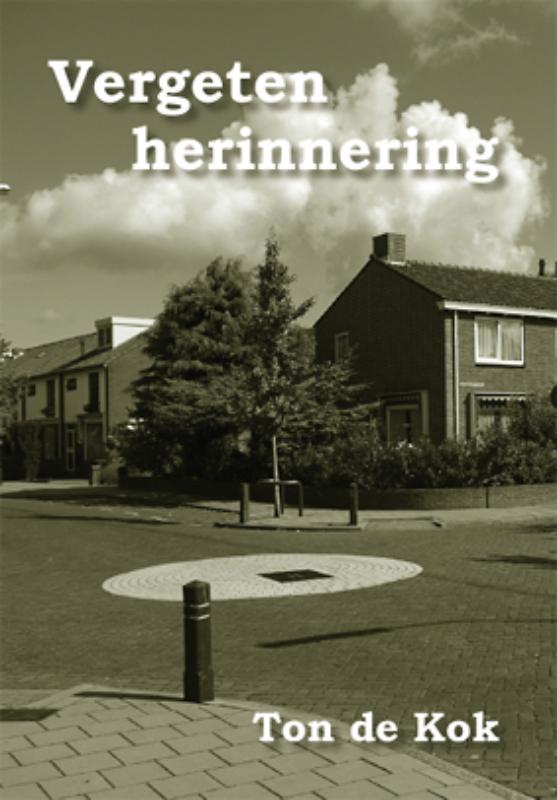 Omslag van Vergeten herinnering