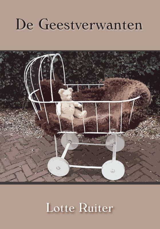 Omslag van De geestverwanten