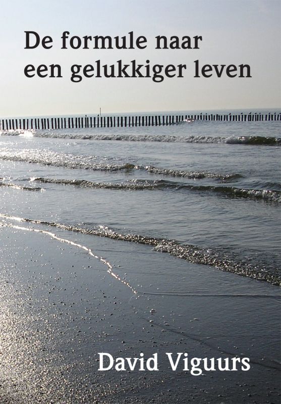 Omslag van De formule naar een gelukkig leven