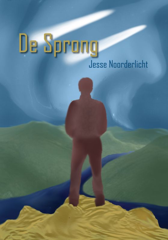 Omslag van De sprong
