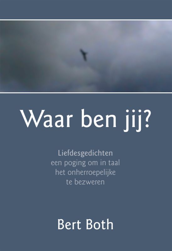 Omslag van Waar ben jij?