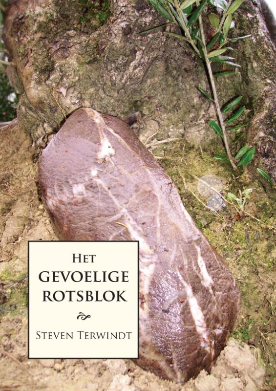 Omslag van Het gevoelige rotsblok