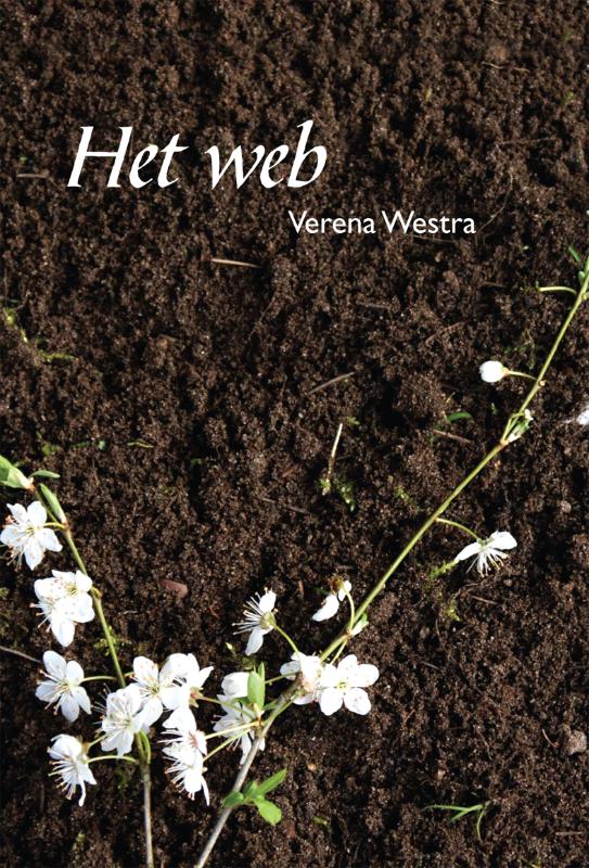 Omslag van Het web