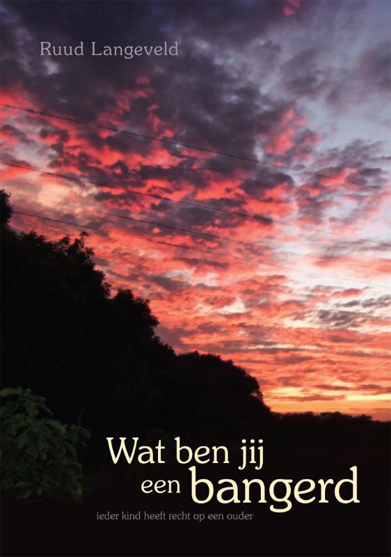 Omslag van Wat ben jij een bangerd