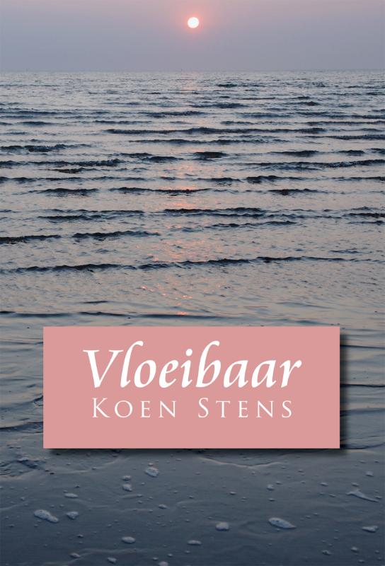 Omslag van Vloeibaar
