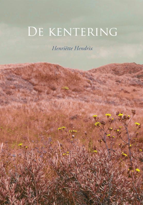 Omslag van De kentering