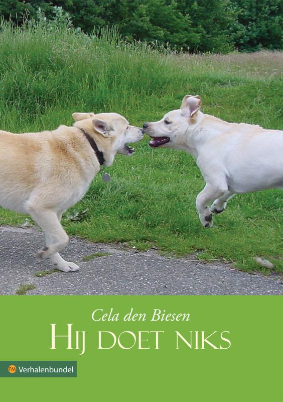 Omslag van Hij doet niks