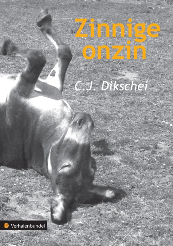 Omslag van Zinnige onzin