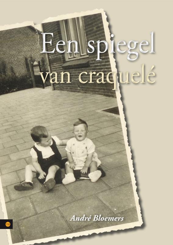 Omslag van Een spiegel van craquelé