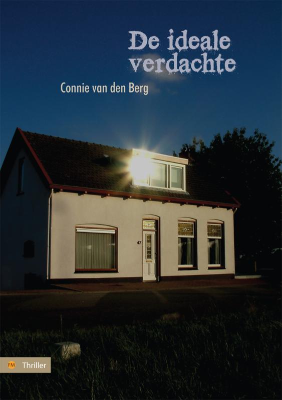 Omslag van De ideale verdachte