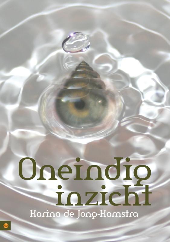Omslag van Oneindig inzicht