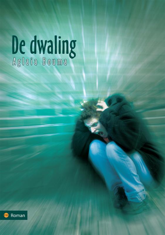 Omslag van De dwaling