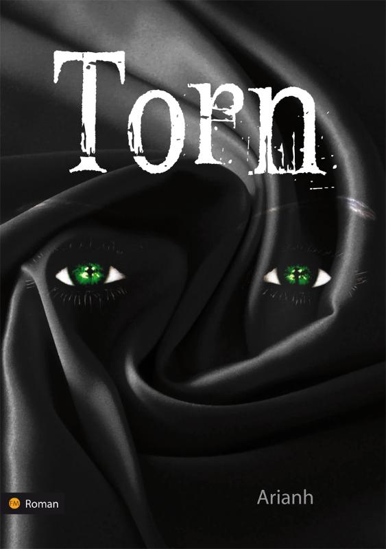 Omslag van Torn
