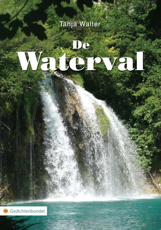 Omslag van De Waterval
