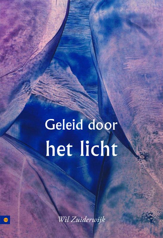 Omslag van Geleid door het licht