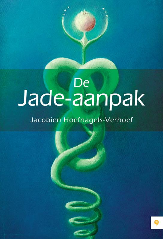 Omslag van De Jade-aanpak