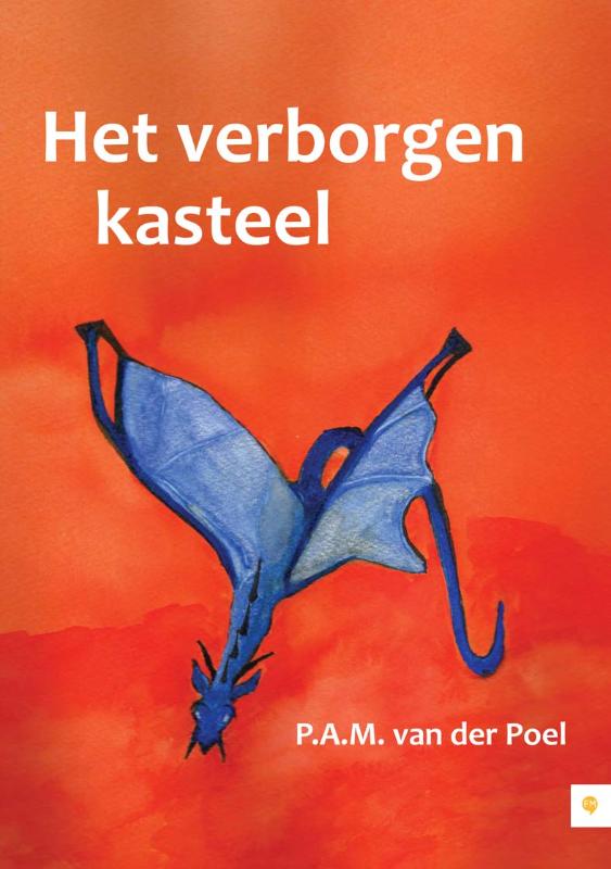 Omslag van Het verborgen kasteel