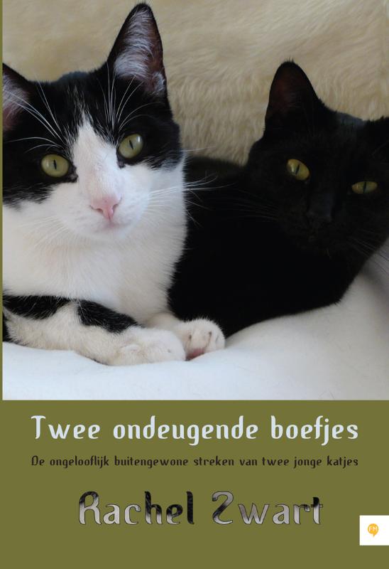 Omslag van Twee ondeugende boefjes