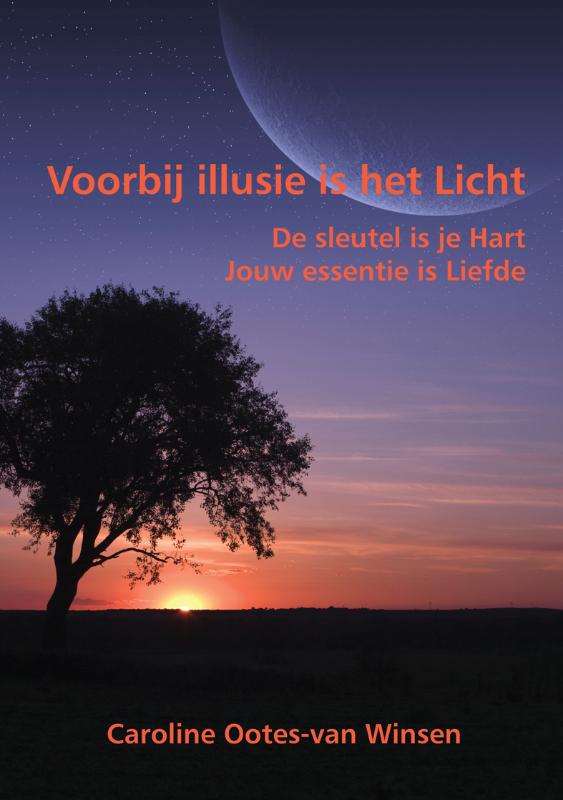 Omslag van Voorbij illusie is het Licht