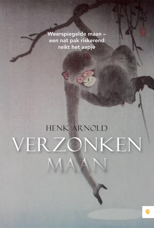 Omslag van Verzonken maan