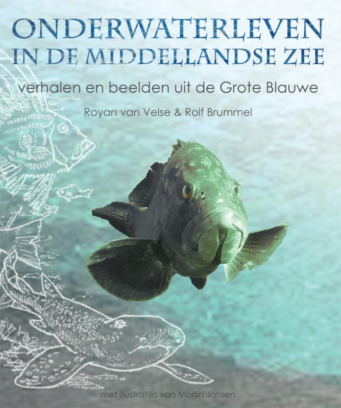 Omslag van Onderwaterleven in de Middellandse Zee