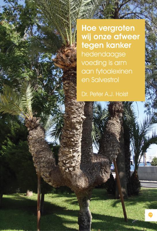 Omslag van Hoe vergroten wij onze afweer tegen kanker