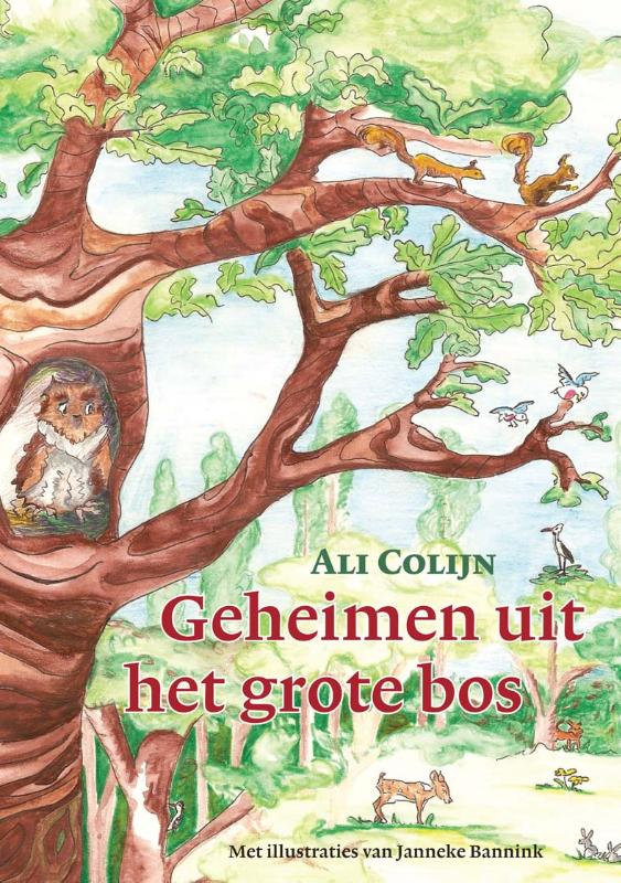 Omslag van Geheimen uit het grote bos