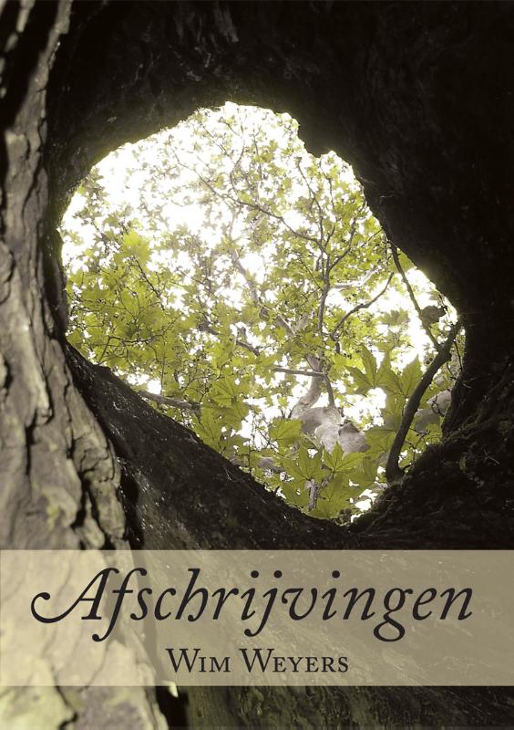 Omslag van Afschrijvingen